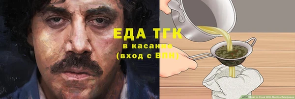 спиды Богородицк