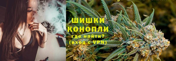 спиды Богородицк