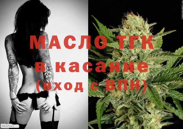 спиды Богородицк