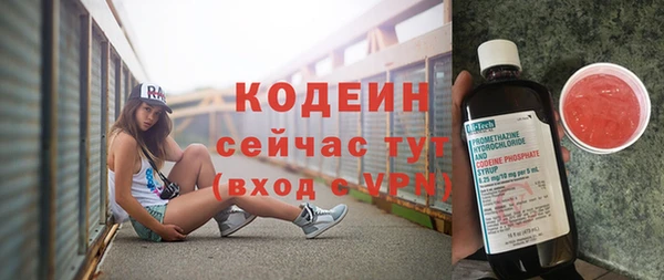 хмурый Богородск